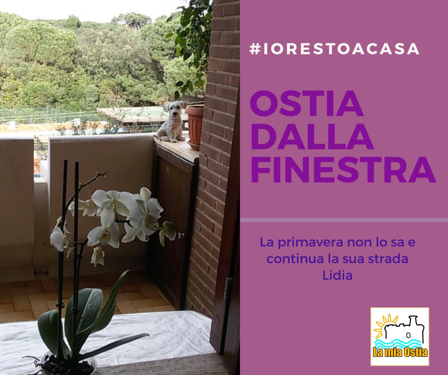 Ostia dalla finestra: mese di marzo